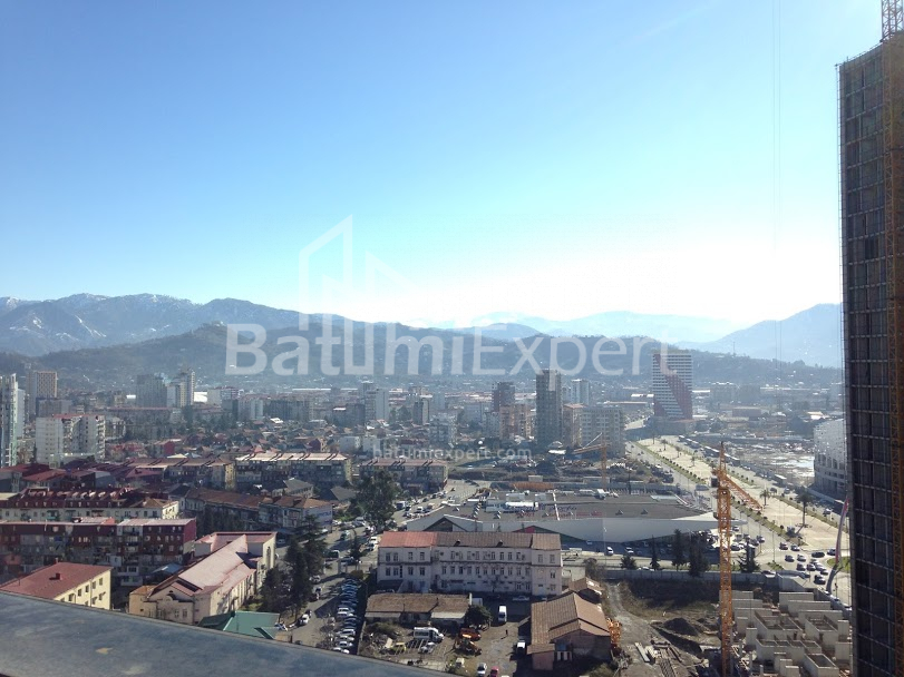 آپارتمان 51.4 متر مربع - نیکو پیروسمانی, Batumi, گرجستان