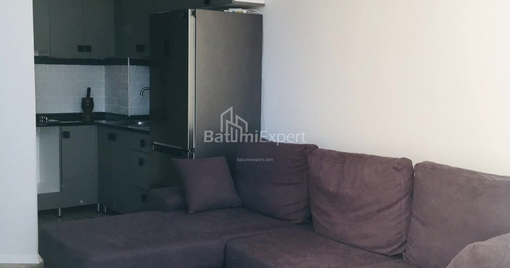 آپارتمان 48 متر مربع - پالاوندیشویلی, Batumi, گرجستان