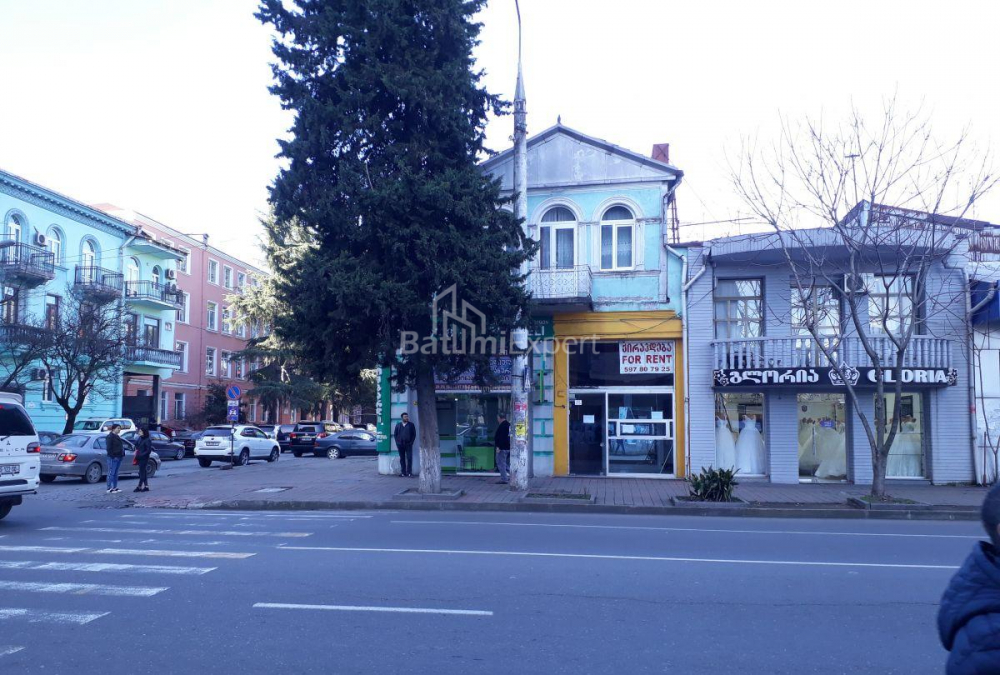 آپارتمان 240 متر مربع - ایلیا چاوچاوادزه, Batumi, گرجستان