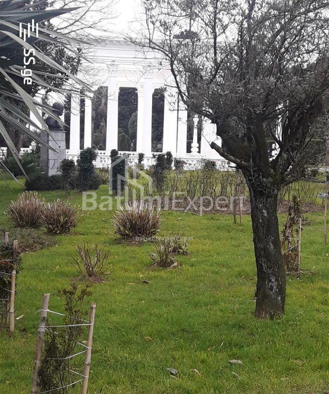 آپارتمان 45 متر مربع - یوریوسکایا, Batumi, گرجستان
