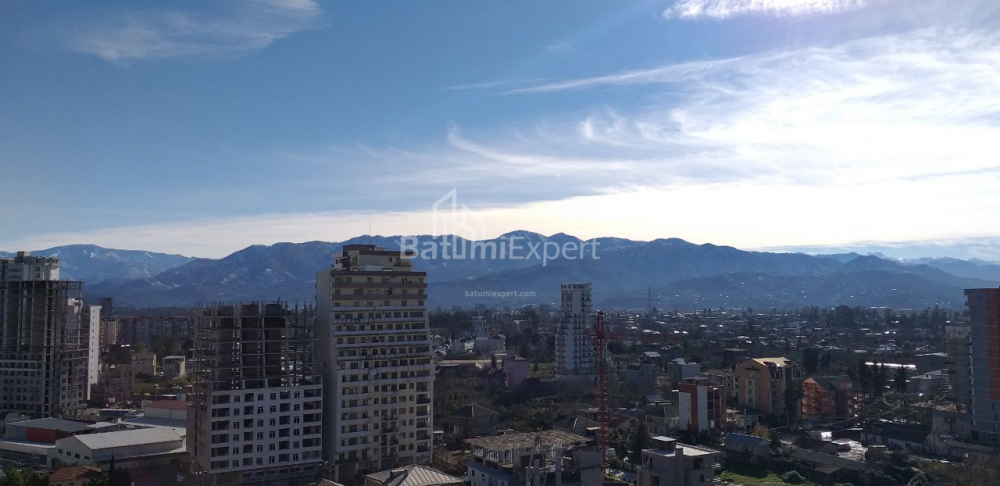 آپارتمان 31.3 متر مربع - شالوا ایناساریدزه, Batumi, گرجستان