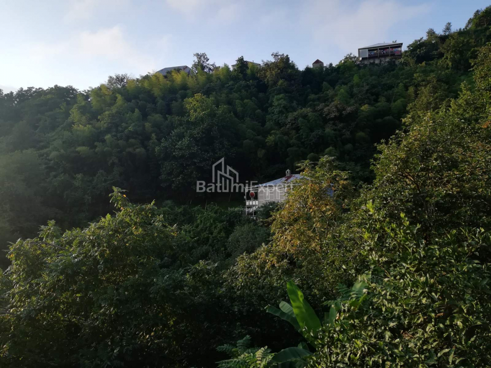 خانه شخصی 2501 متر مربع - آکاکی شاینیدزه, Khelvachauri, گرجستان