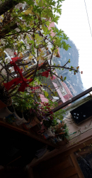 آپارتمان 84 متر مربع - سویشچفسکی, Batumi, گرجستان