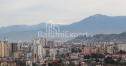 آپارتمان 63.6 متر مربع - لخ و ماریا کاچینسکی, Batumi, گرجستان