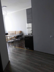 آپارتمان 48 متر مربع - ایلیا چاوچاوادزه, Batumi, گرجستان