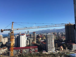 آپارتمان 52.1 متر مربع - نیکو پیروسمانی, Batumi, گرجستان