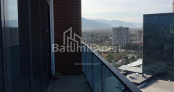 آپارتمان 48.9 متر مربع - لخ و ماریا کاچینسکی, Batumi, گرجستان