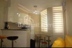 آپارتمان 29 متر مربع - زورابا گورگیلادزه, Batumi, گرجستان