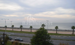 آپارتمان 49 متر مربع - کلانتر خیمشیاشویلی, Batumi, گرجستان
