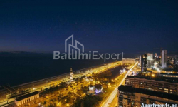 آپارتمان 33 متر مربع - کلانتر خیمشیاشویلی, Batumi, گرجستان
