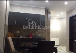 آپارتمان 47 متر مربع - زورابا گورگیلادزه, Batumi, گرجستان