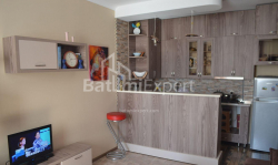 آپارتمان 3-комн 64 m² - شالوا ایناساریدزه, Batumi