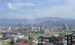 آپارتمان 31 متر مربع - نیکو پیروسمانی, Batumi, گرجستان