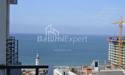 آپارتمان 33 متر مربع - نیکو پیروسمانی, Batumi, گرجستان