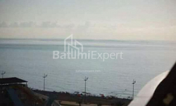 آپارتمان 24 متر مربع - یوریوسکایا, Batumi, گرجستان