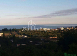 قطعه زمین 300 متر مربع - یوریوسکایا, Batumi, گرجستان