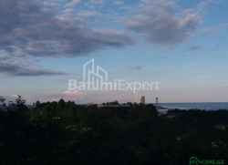 قطعه زمین 300 متر مربع - یوریوسکایا, Batumi, گرجستان