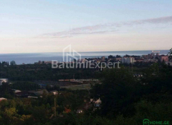 قطعه زمین 300 متر مربع - یوریوسکایا, Batumi, گرجستان