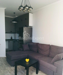 آپارتمان 48 متر مربع - الکساندرا پوشکین, Batumi, گرجستان