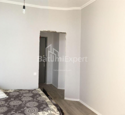 آپارتمان 48 متر مربع - الکساندرا پوشکین, Batumi, گرجستان