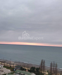 آپارتمان 33 متر مربع - کلانتر خیمشیاشویلی, Batumi, گرجستان