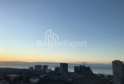 آپارتمان 36 متر مربع - گریگولا الیوا, Batumi, گرجستان
