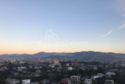 آپارتمان 36 متر مربع - گریگولا الیوا, Batumi, گرجستان