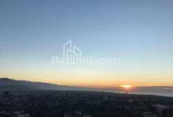 آپارتمان 36 متر مربع - گریگولا الیوا, Batumi, گرجستان