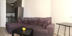 آپارتمان 48 متر مربع - الکساندرا پوشکین, Batumi, گرجستان