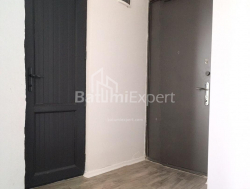 آپارتمان 48 متر مربع - الکساندرا پوشکین, Batumi, گرجستان