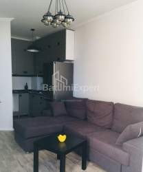 آپارتمان 48 متر مربع - الکساندرا پوشکین, Batumi, گرجستان