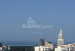 آپارتمان 2-комн 42 m² - ایلیا چاوچاوادزه, Batumi