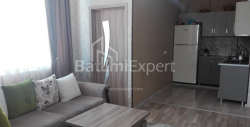 آپارتمان 3-комн 66 m² - الکساندرا پوشکین, Batumi