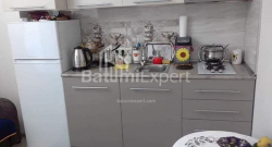 آپارتمان 33 متر مربع - الکساندرا پوشکین, Batumi, گرجستان