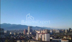 آپارتمان 31 متر مربع - الکساندرا پوشکین, Batumi, گرجستان