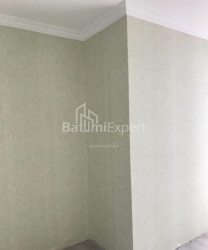 آپارتمان 50 متر مربع - یوریوسکایا, Batumi, گرجستان
