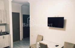 آپارتمان 40 متر مربع - تبل ابوسریدزه, Batumi, گرجستان