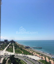 آپارتمان 25 متر مربع - یوریوسکایا, Batumi, گرجستان
