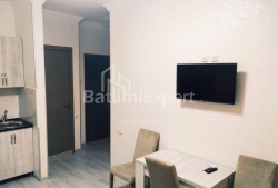 آپارتمان 40 متر مربع - تبل ابوسریدزه, Batumi, گرجستان