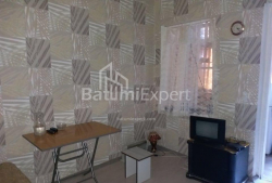آپارتمان 60 متر مربع - الکساندرا پوشکین, Batumi, گرجستان