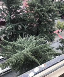 آپارتمان 70 متر مربع - یوریوسکایا, Batumi, گرجستان