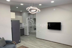 آپارتمان 56 متر مربع - دیوید آگماشنبلی, Batumi, گرجستان