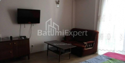 آپارتمان 33 متر مربع - یوریوسکایا, Batumi, گرجستان