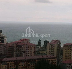 آپارتمان 50 متر مربع - تبل ابوسریدزه, Batumi, گرجستان