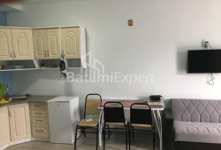 آپارتمان 38 متر مربع - یوریوسکایا, Batumi, گرجستان