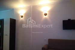 آپارتمان 33 متر مربع - یوریوسکایا, Batumi, گرجستان