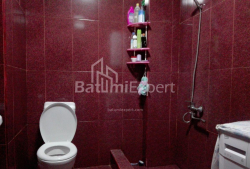 آپارتمان 3-комн 68 m² - دیمتر تودادبولی, Batumi