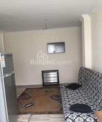 آپارتمان 35 متر مربع - الکساندرا پوشکین, Batumi, گرجستان