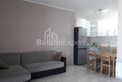 آپارتمان 65 متر مربع - یوریوسکایا, Batumi, گرجستان