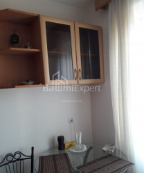 آپارتمان 49 متر مربع - الکساندرا پوشکین, Batumi, گرجستان